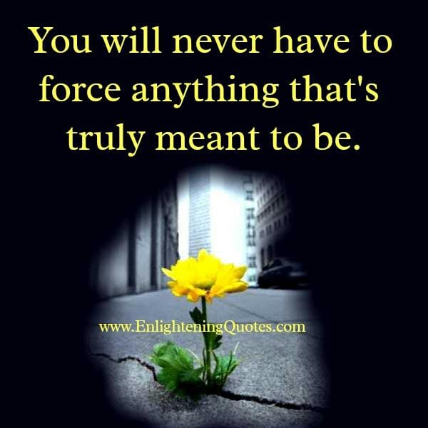 Never force anything in your life