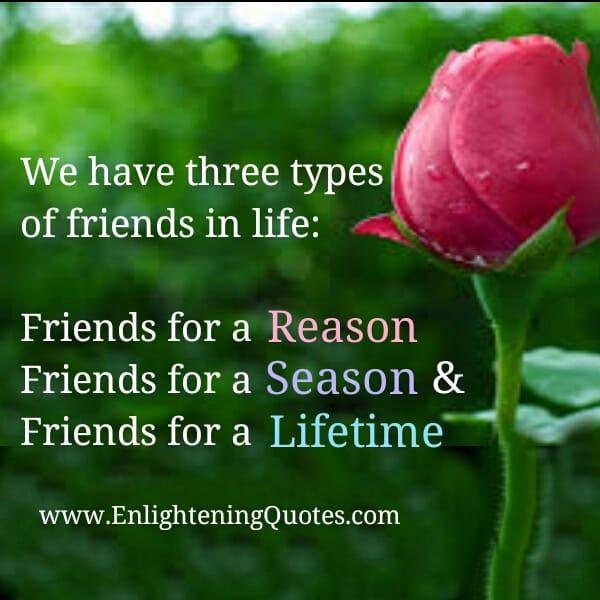 We have three types of friends in life