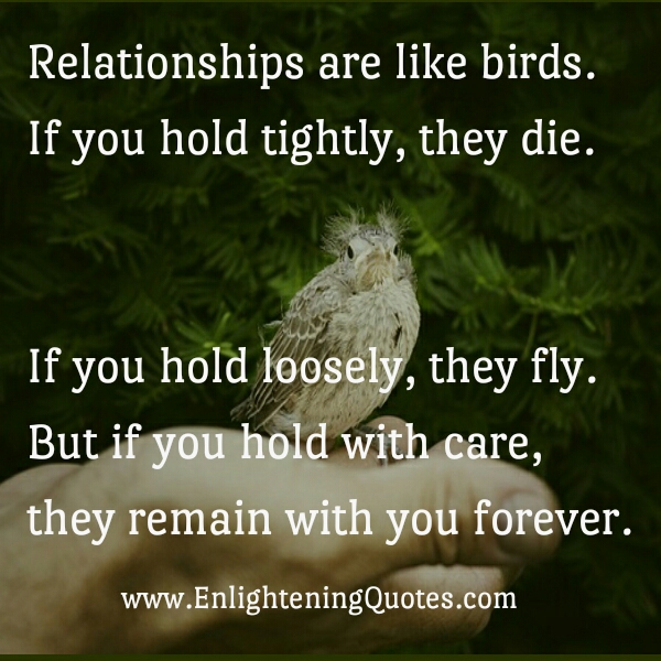 Relationships are like birds
