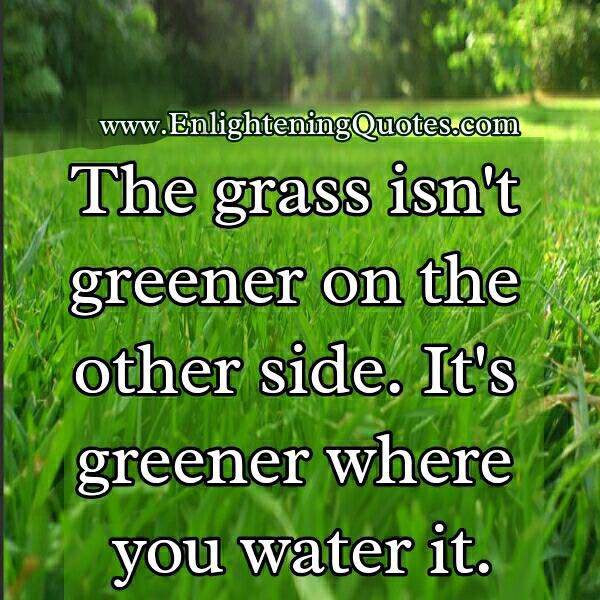 The grass isn't greener on the other side